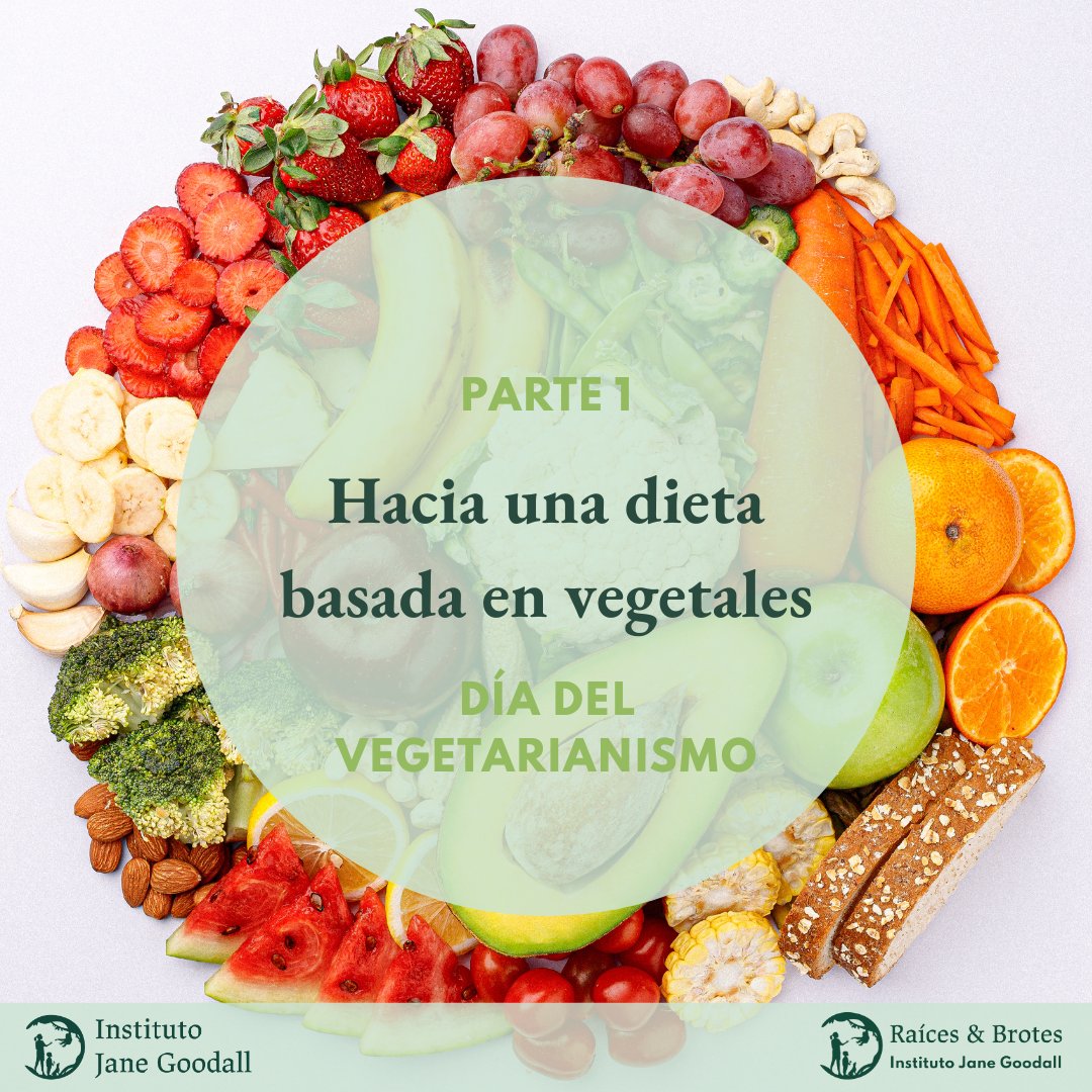 JaneGoodallEspa's tweet photo. ⚠️ El elevado consumo de carne 🥩 en las sociedades modernas se está convirtiendo en un problema cada vez mayor debido a su impacto en el medio ambiente 🌳, los animales 🐮🐷🐔 y las personas 👫

#DíaMundialDelVegetarianismo #eatmeatless #octoveg https://t.co/26Gr3eQkWF