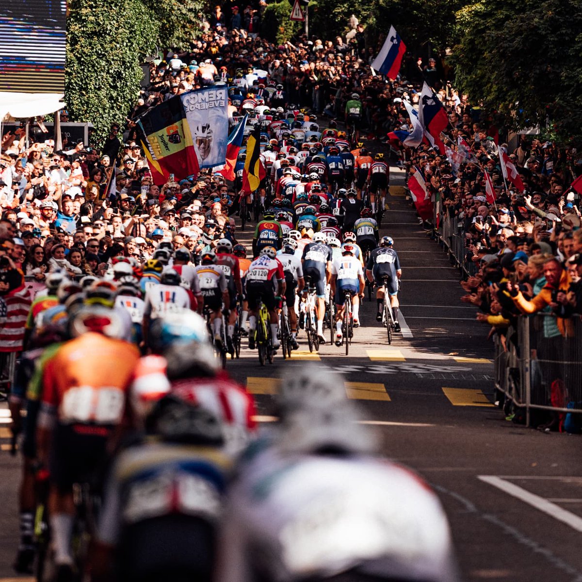 Toms Skujiņš tweet media