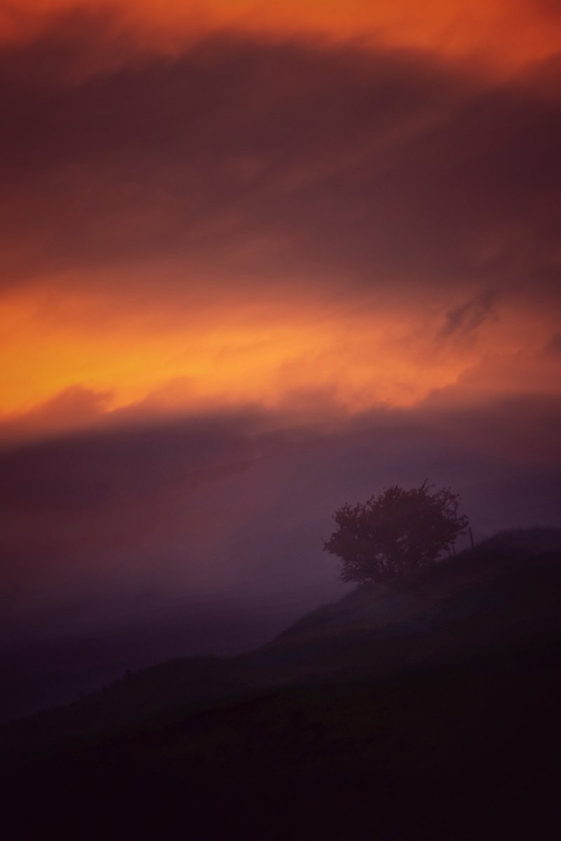 edmorrisuk's tweet photo. little tree under a stormy sunset π
#ThePhotoHour #StormHour #uk #wales #llanffestiniog #eryri #snowdonia https://t.co/2Prc77aNDz