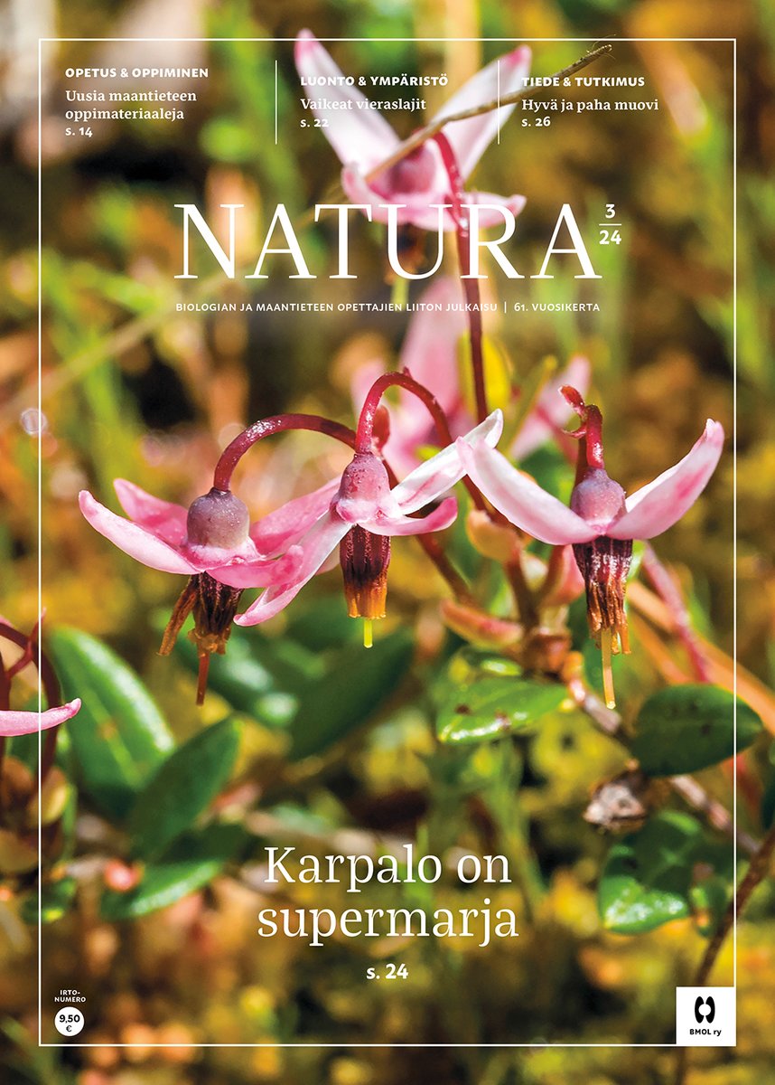 "Akvaariokala ja -kasvi päätyivät lampeen, misteli alkoi levitä Turun seudulla ja tuoksukkia tavataan maassamme satunnaisesti." Lue Jonna Kaukosen juttu vieraslajeista uusimmasta Naturasta! 👉naturalehti.fi/2024/09/27/uus… #vieraslaji
