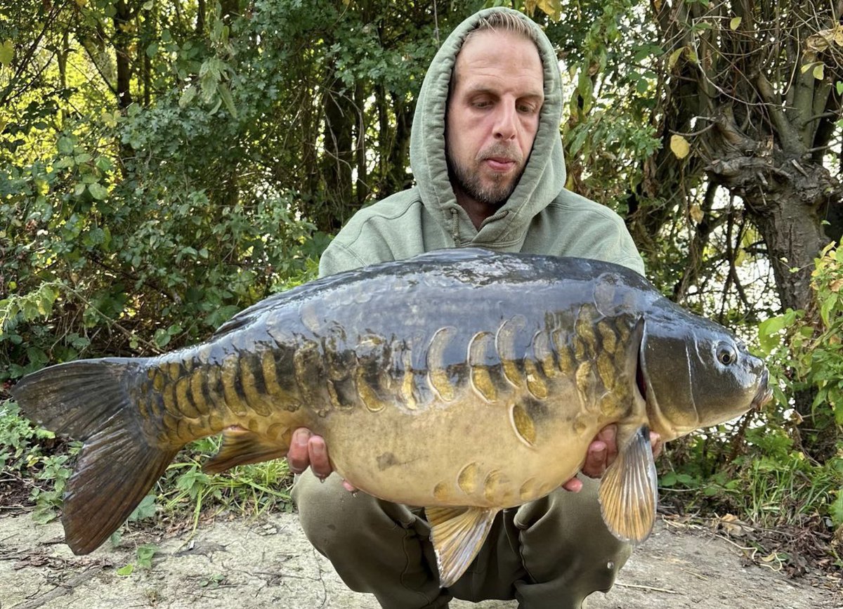 stgeorgeslake's tweet image. Here’s a couple of the latest Stockies from last Xmas- introduced to the lake at 12lb, caught recently at 15lb 10oz and 17lb 9oz. Good weight gain. Thanks to Matt and Lee for the pics.. #stockies #carp #simmos #carpfishg #NaturePhotography #fishinglife #naturephoto