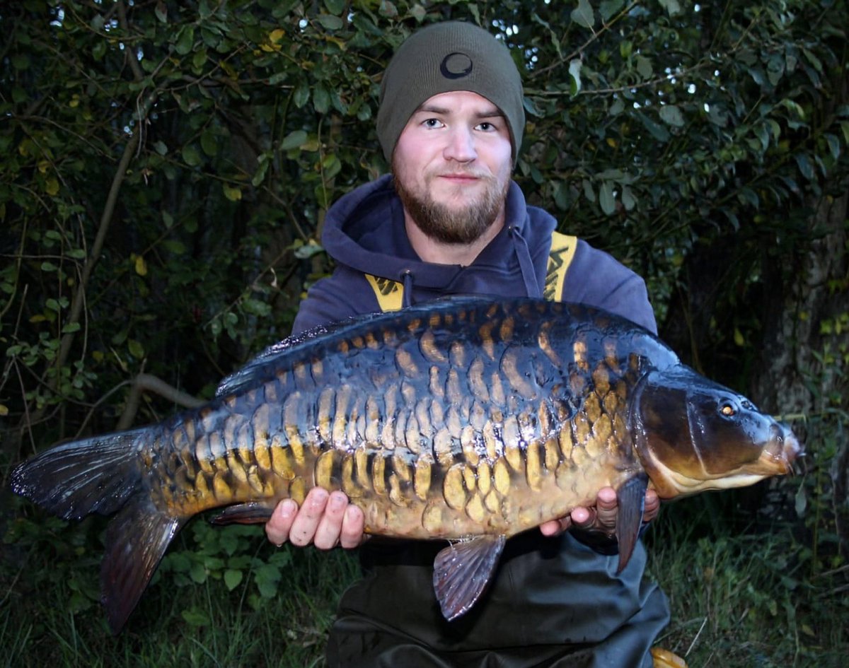 stgeorgeslake's tweet image. Here’s a couple of the latest Stockies from last Xmas- introduced to the lake at 12lb, caught recently at 15lb 10oz and 17lb 9oz. Good weight gain. Thanks to Matt and Lee for the pics.. #stockies #carp #simmos #carpfishg #NaturePhotography #fishinglife #naturephoto