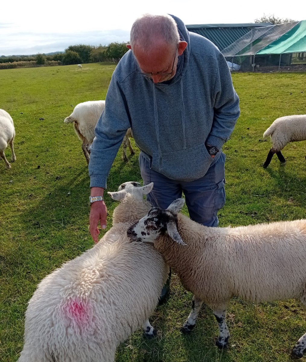 Heart of England Mencap tweet media