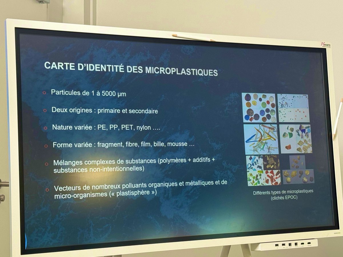 Nexans_'s tweet image. 🔬 Microplastics are everywhere! From 1 μm to 5 mm, these particles are found throughout aquatic ecosystems and can persist for up to 1000 years. Let's take action to protect our oceans! 🌊 #Microplastics #OceanCalling