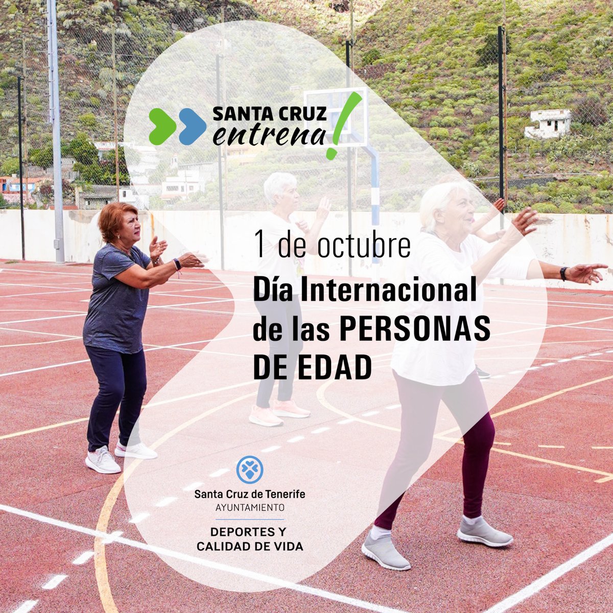 #DíaInternacionaldelasPersonasdeEdad Buen día para recordar la importancia del ejercicio físico para un envejecimiento saludable

💚💙 La oferta deportiva de #SantaCruzEntrena lo tiene muy en cuenta, con actividades como Madurez Activa, Mantenimiento Físico o Deporte Playa