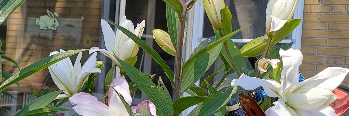 Dr Christopher Karl (@drchristopherka) on Twitter photo 