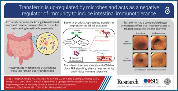 Research_Jrnl's tweet image. Had your paper accepted by Research? Want to effectively communicate your work to a broader audience? We can now help you present your study in a visually engaging way. @SPJournals
 
Learn more at spj.compuscript.com
 
#visual_communication #infographic #scientific_figures…