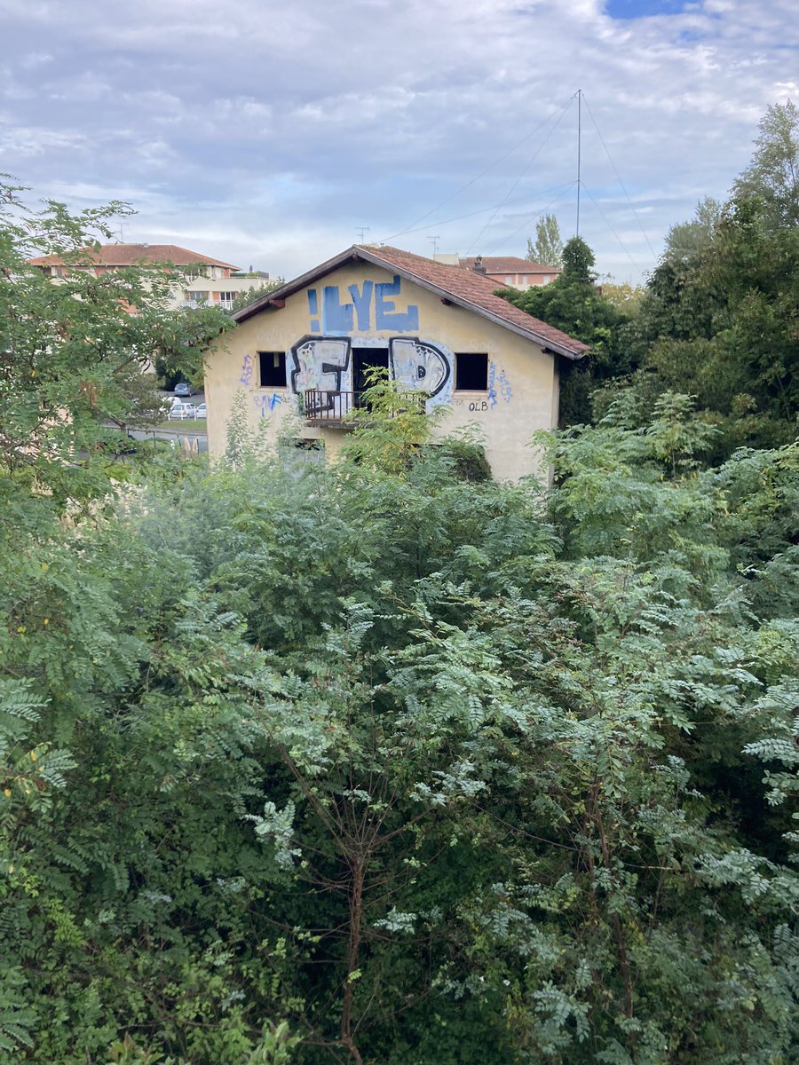 Berlio reporter au Pays basque 🐦 tweet media