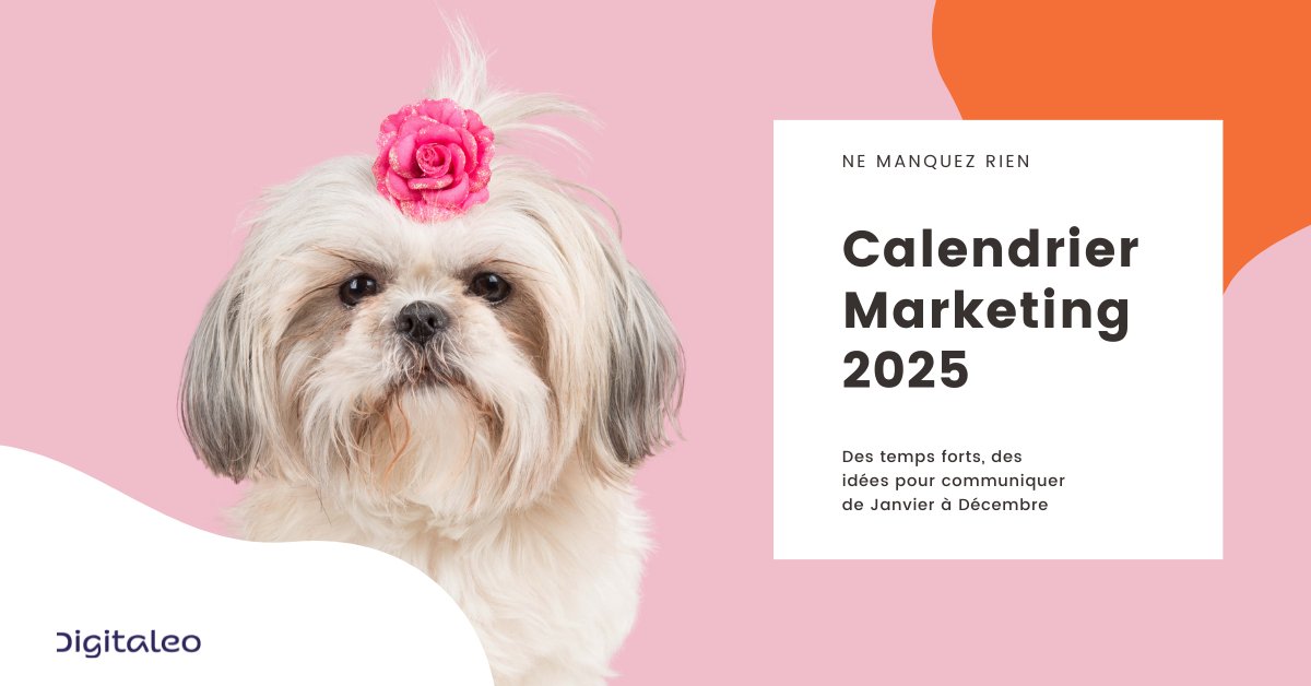 #Calendriermarketing | Planifiez et maximisez l'impact de vos campagnes 2025 🚀 ! 

Toutes les dates clés y sont (temps forts, journées mondiales, événements sportifs etc.)📅 

Téléchargez-le ici 👇 info.digitaleo.fr/calendrier-mar…
