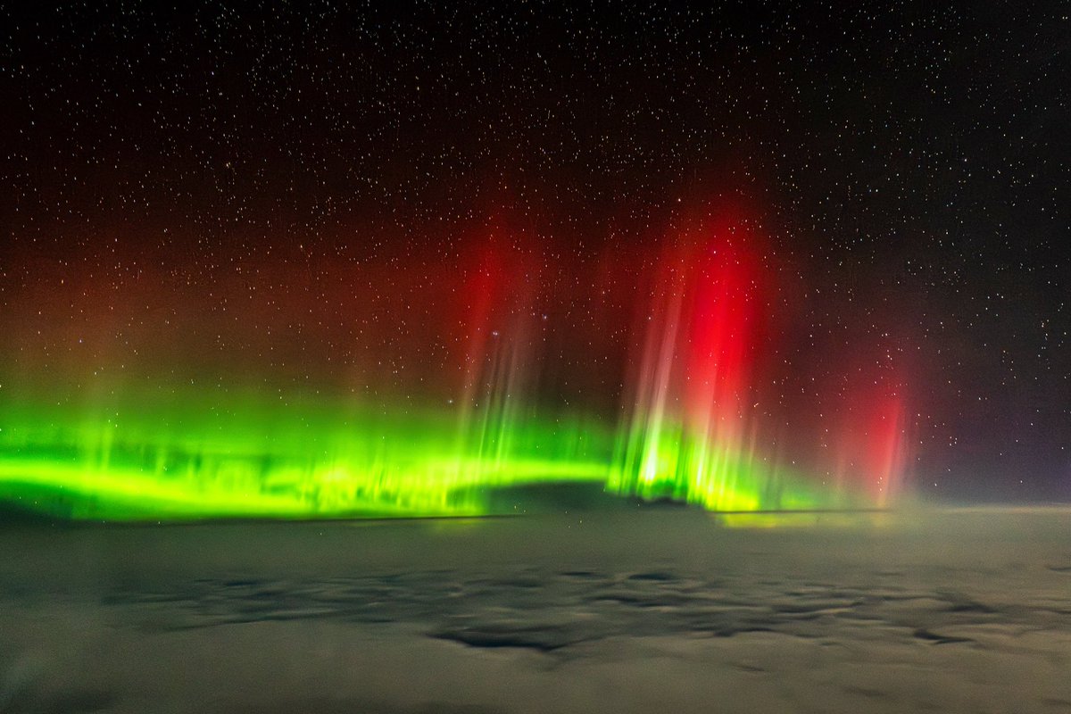 Emile Nossin tweet media