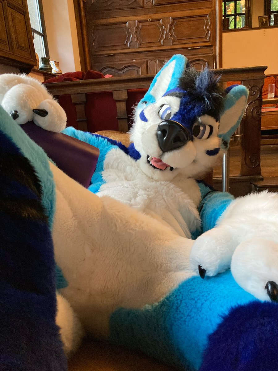 <a href="/Arky_Wolf/">Arky 🔜 🏞️🇳🇴 🔜MEGAPLEX</a> Okay! Here’s the other side 🥰 🐺