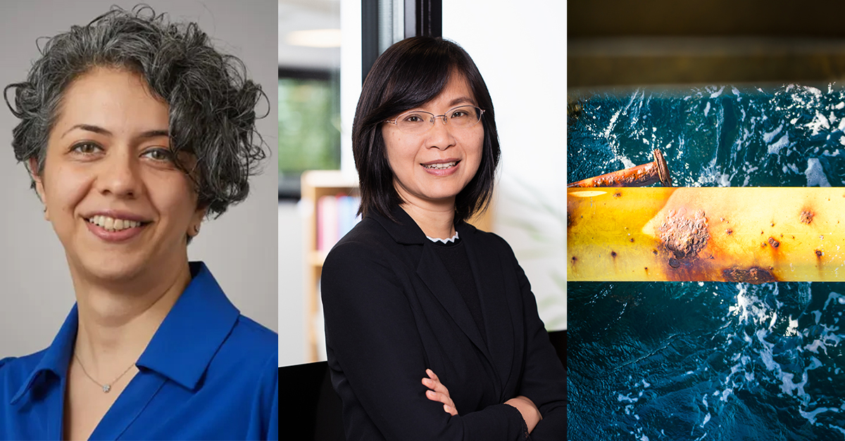 SIO Grafen tweet media