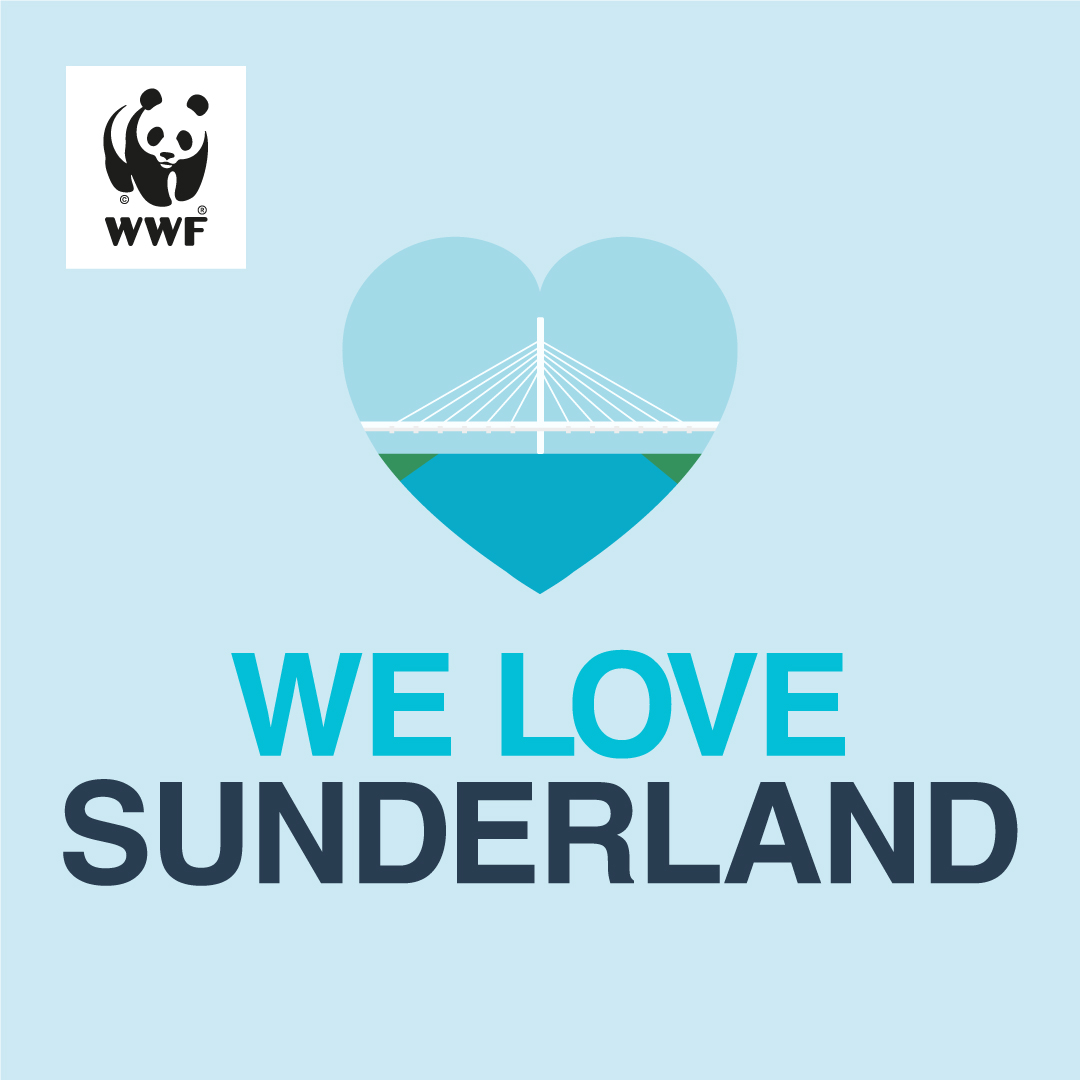 SunderlandUK's tweet photo. We have been shortlisted in the ‘We Love Cities’ campaign - have your say about what could be done to help tackle climate change in Sunderland! 🍃 🌎   

Vote for Sunderland! Head over to https://t.co/I8CvywlDRQ @WWFCities to find out more and cast your vote ✅ https://t.co/VVfqg3AQd8