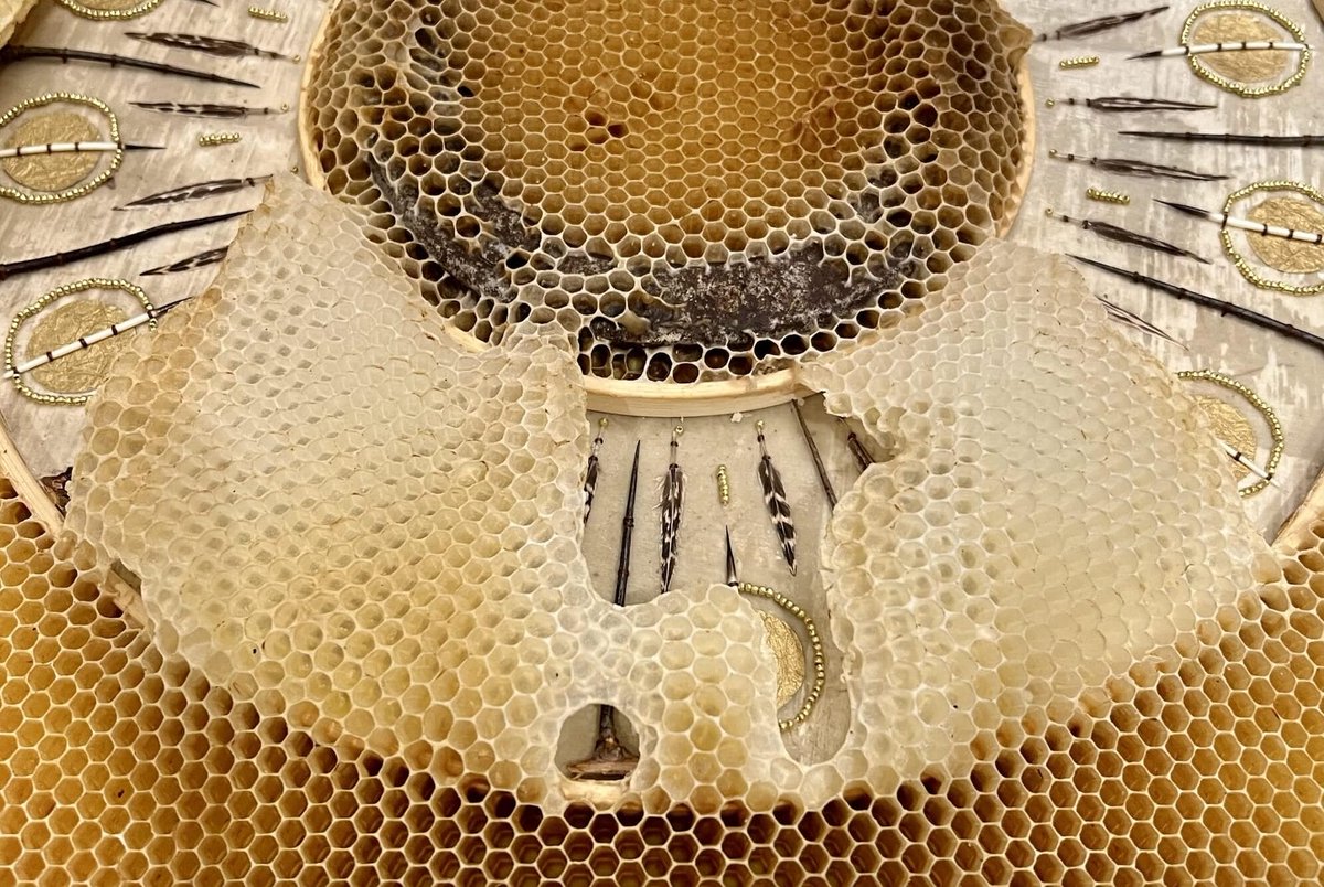 Honeybees Have the Final Say in Ava Roth’s Collaborative Sculptures bit.ly/4epdU8Y