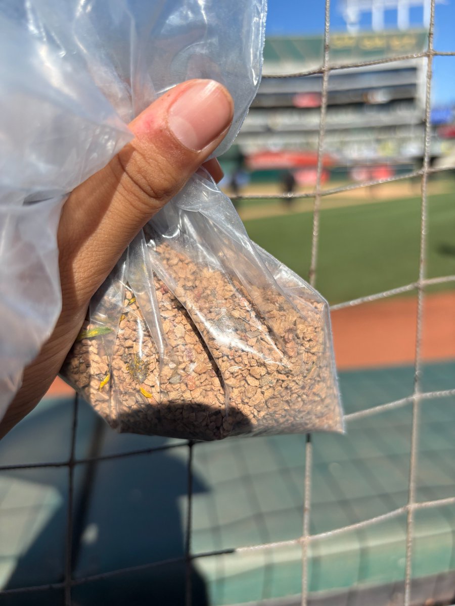 jaybhai's tweet photo. @DALLASBRADEN209 Thank you, @DALLASBRADEN209! It was an honor to shake your hand on our way out.  My son and I will remember that day forever. 🌳⚾️🏟️🐘❤️ https://t.co/IdMr9O8qG7