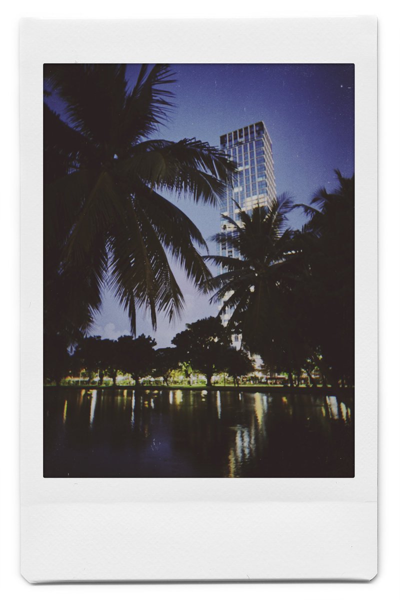 RobertJMueller's tweet photo. Polaroid from yesterday’s park stroll. https://t.co/PHb8mjyGWU