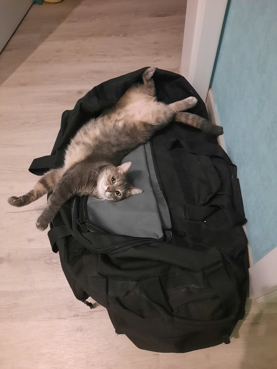 Neutralfleck's tweet photo. It's my favorite goblin's 4th birthday today 🥳 Love you ❤️ https://t.co/U6MUu46GpP