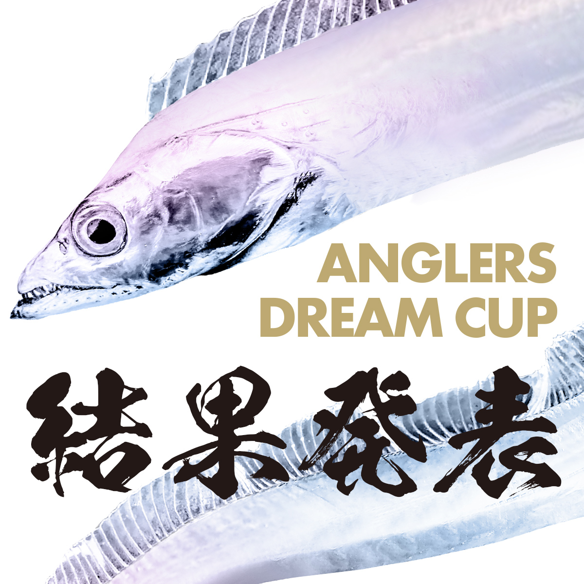 Anglersdreamcup's tweet photo. ANGLERS DREAM CUP -タチウオチャレンジ
3rd Week 9/24〜9/30の結果発表✨

1位から３位までの結果を発表🎊

結果ページはこちら❗️
https://t.co/Nyl0kbWgP4

大会はいよいよ最終週‼️
10/1～10/6 まで開催中❗️ https://t.co/8KxiSOdKYF