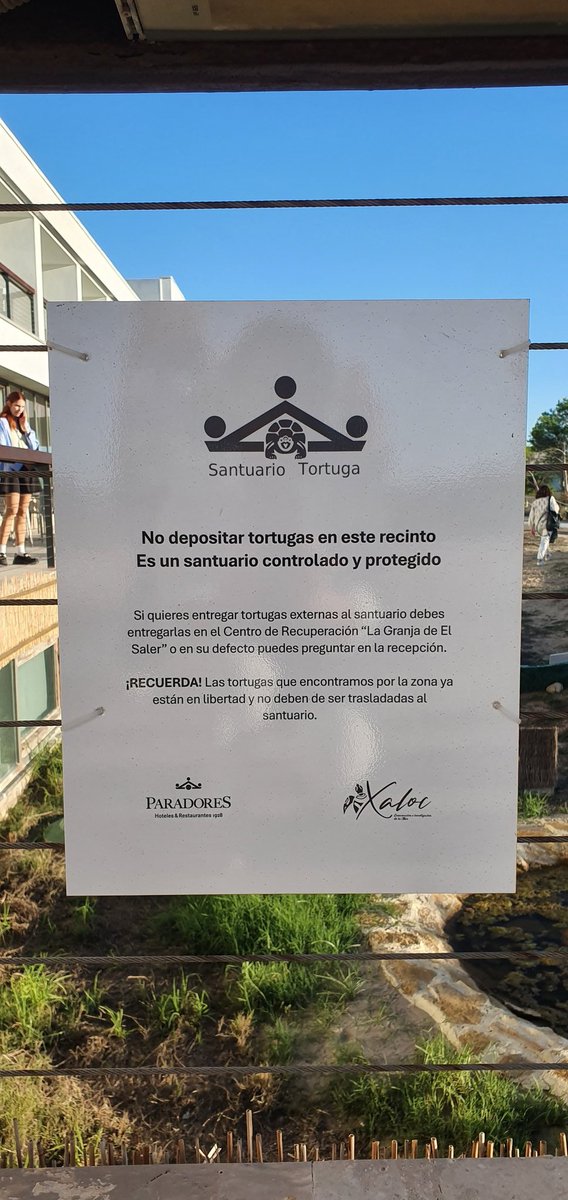 Ayer, en el santuario de tortugas en El Saler, salieron a la libertad estas tortugas después de toda una vida. 20 años <a href="/foro_demos/">Foro_Demos</a> @fundacionreale asociación Xaloc