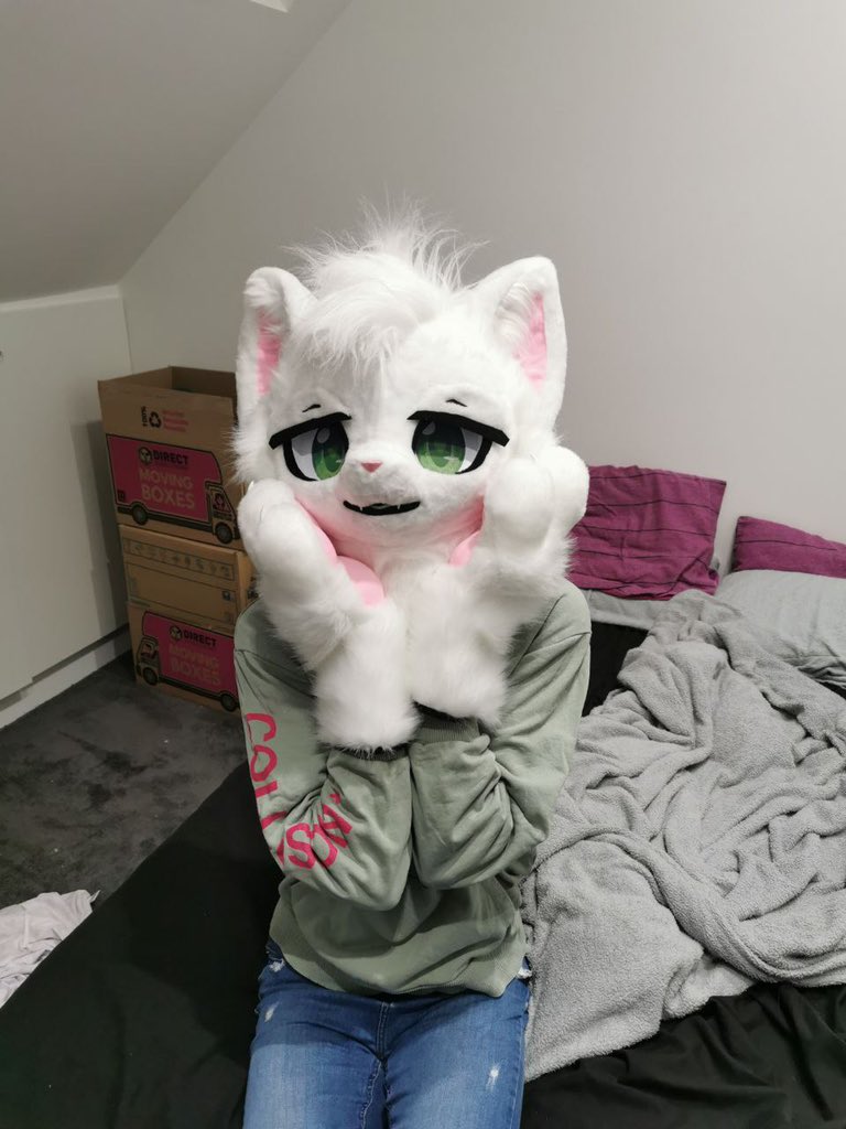 LiammTheCat's tweet photo. Liamm has joined the Frey!

Huge shout out to the maker, @Tig3rLilyy !! They did a fantastic job and were very pleasant to work with :D https://t.co/ldUTvHRYac