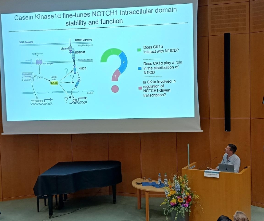 Fabio Turetti tweet media