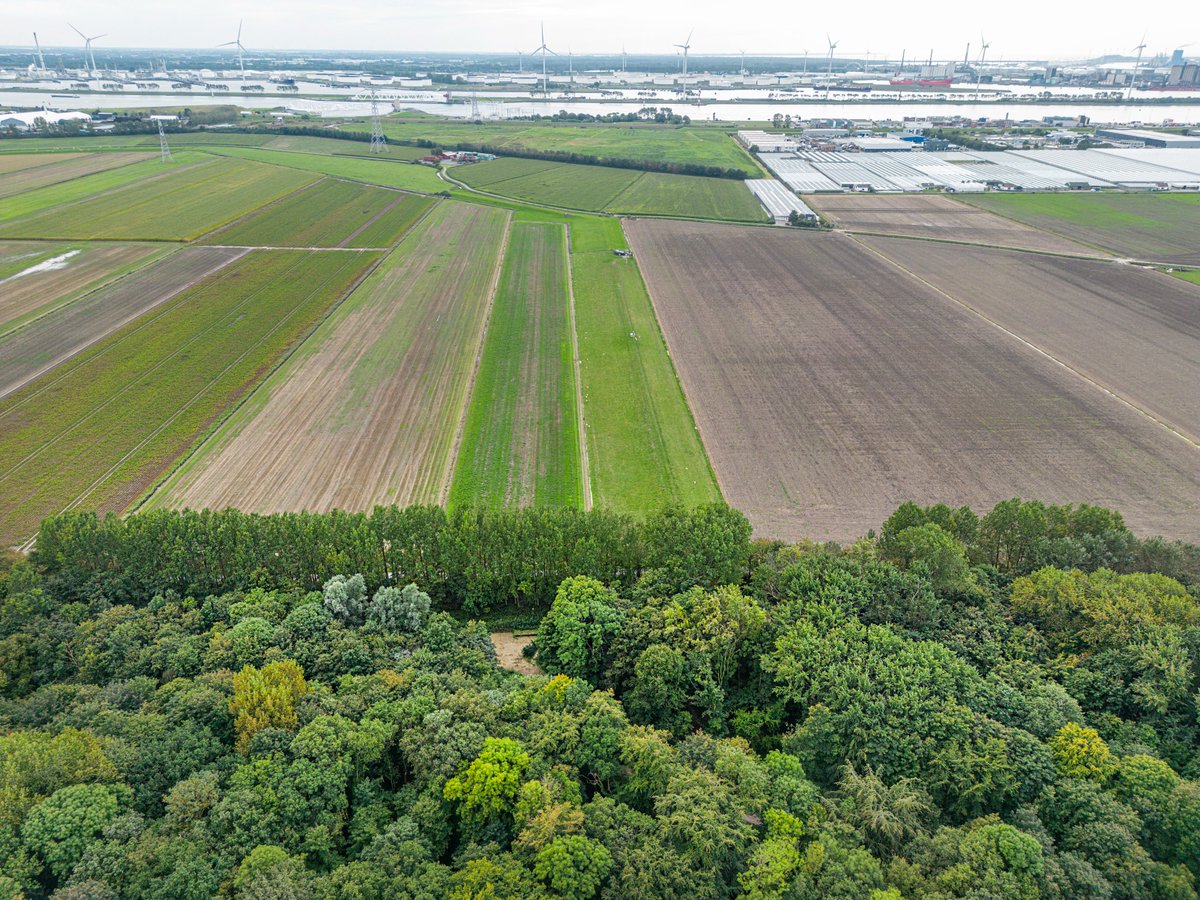 Zuid-Hollands Landschap tweet media