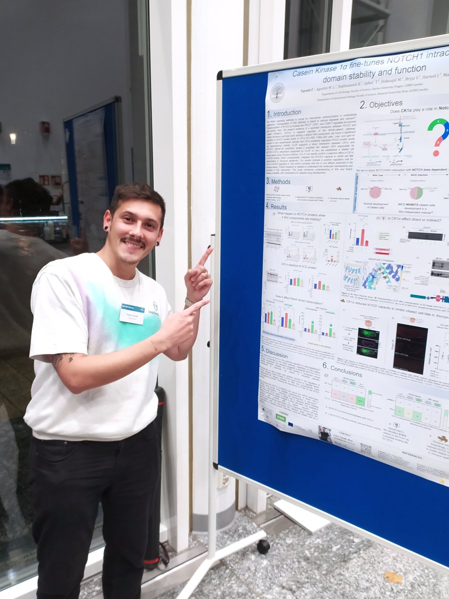 Fabio Turetti tweet media