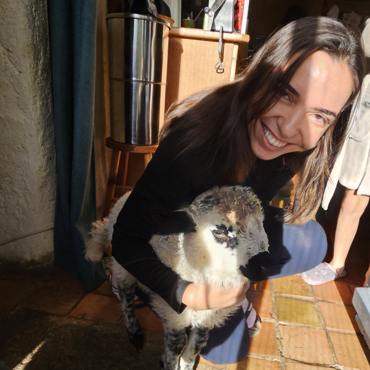 Thibault Datry @tdatry.bsky.social (@tdatry) on Twitter photo Very pleased to host @rezendeCF for a few days! After a weekend in the #Albarine area (including sheep nursering!), we are learning a lot about #foodwebs in #NonPerennial, #Intermittent #rivers of Céara, Nordeste, Brazil.
<a href="/EcoFlowS/">EcoFlowS</a> <a href="/INRAE_Lyon_Gre/">INRAE Lyon-Grenoble Auvergne-Rhône-Alpes</a> <a href="/DRYvER_H2020/">Drying River Networks and Climate Change</a> Very pleased to host @rezendeCF for a few days! After a weekend in the #Albarine area (including sheep nursering!), we are learning a lot about #foodwebs in #NonPerennial, #Intermittent #rivers of Céara, Nordeste, Brazil.
<a href="/EcoFlowS/">EcoFlowS</a> <a href="/INRAE_Lyon_Gre/">INRAE Lyon-Grenoble Auvergne-Rhône-Alpes</a> <a href="/DRYvER_H2020/">Drying River Networks and Climate Change</a>