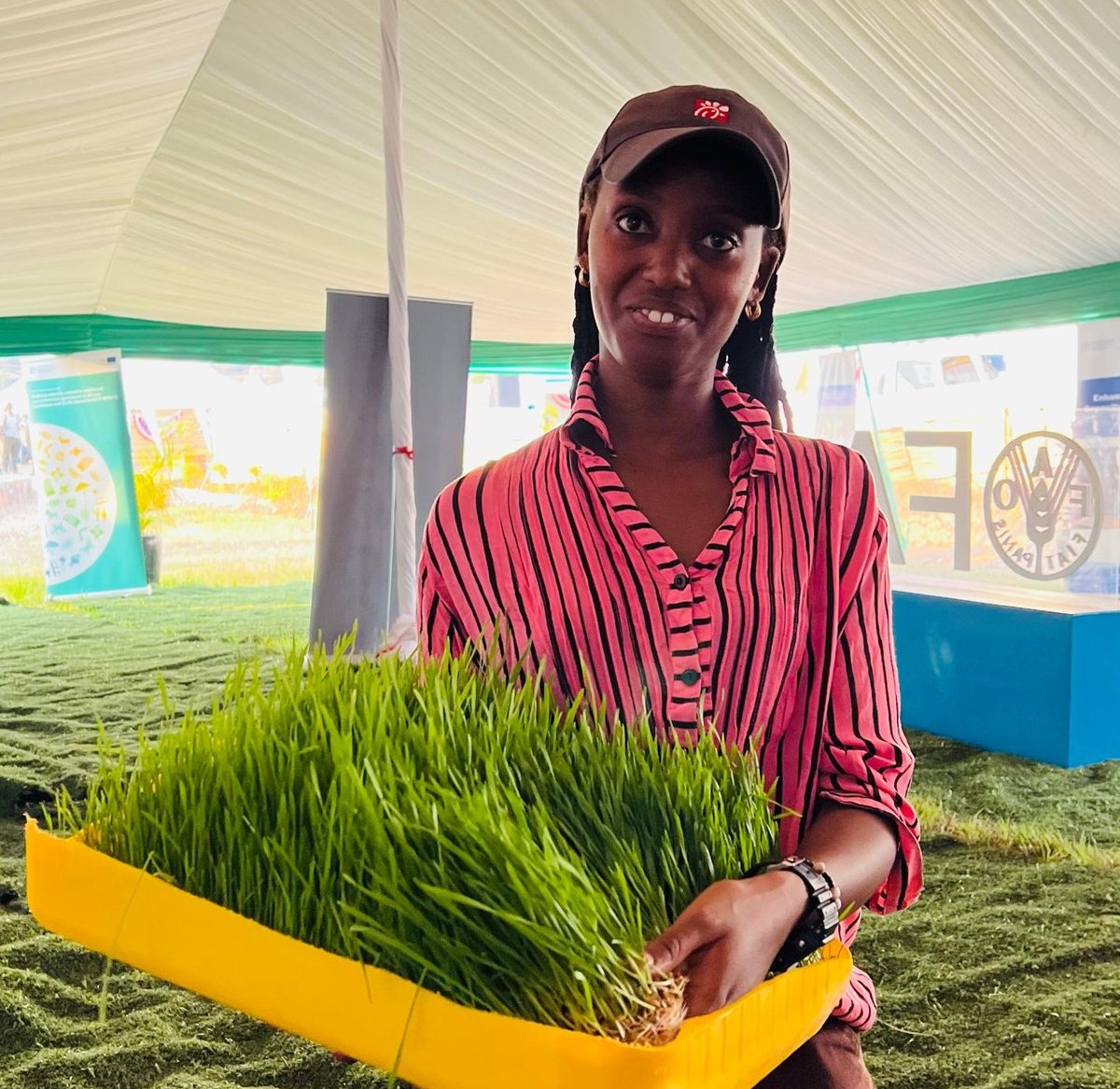 kamanzi_claudin's tweet image. Hydroponic #fodder is sustainable solution that can reduce feeding costs and ensure your livestock receives high-quality nutrition year-round.

 Would you like to know more about setting up a hydroponic system?

Say #Yes in the comments