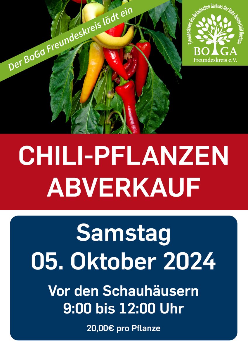 WolfgangStuppy's tweet image. Für alle, die es besonders heiß mögen: am Samstag werden die Chili-Pflanzen unserer zu Ende gegangenen Ausstellung im Botanischen Garten der #ruhrunibochum verkauft #Bochum #Chili