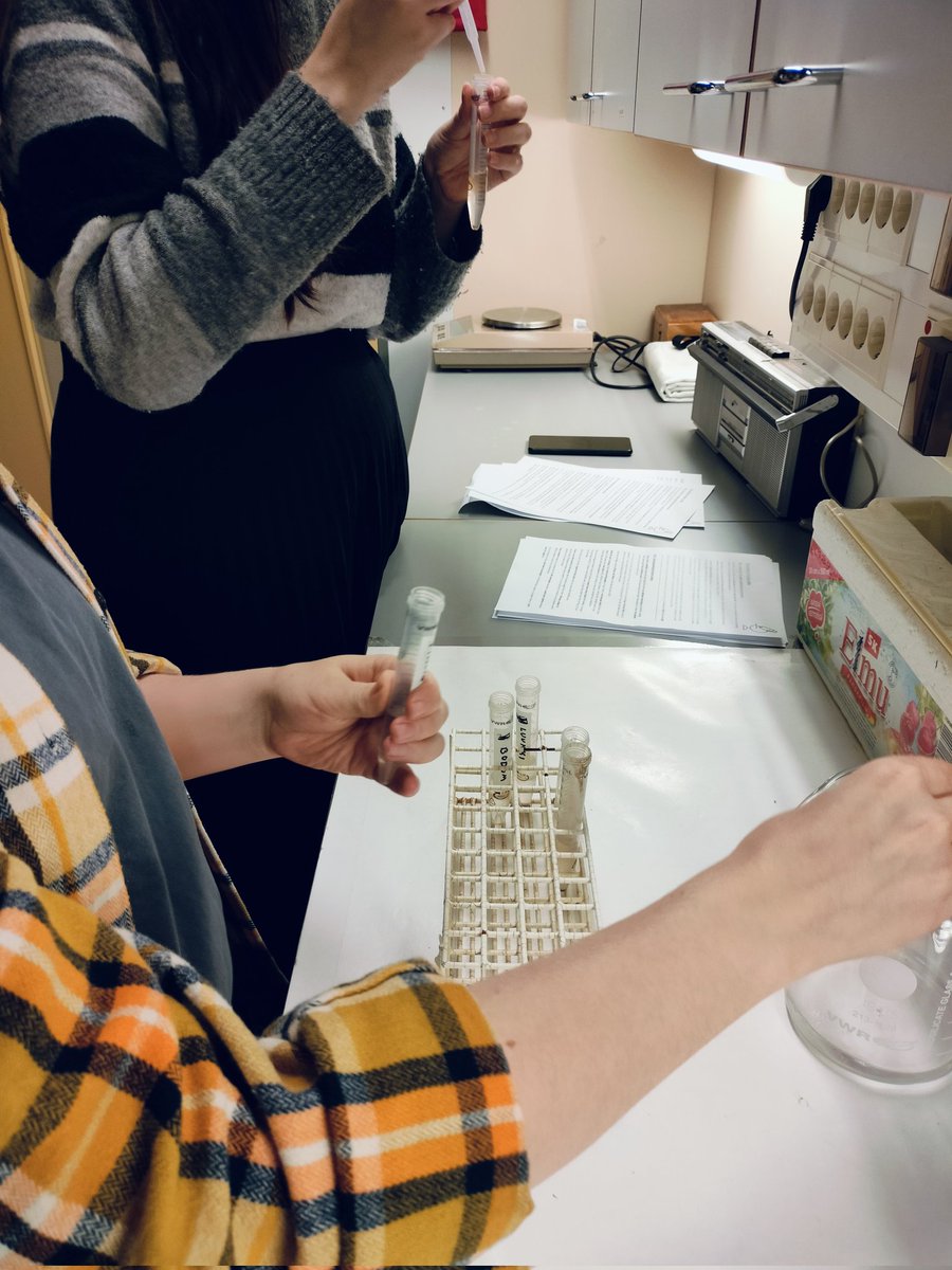 JanneMHeikkinen's tweet image. Diatom sample preparation underway for a second day in a row! Samples are looking good so far... 🤞
@soininen_janne @GeoHelsinkiUni @olliruth #labwork #diatoms #inthemaking