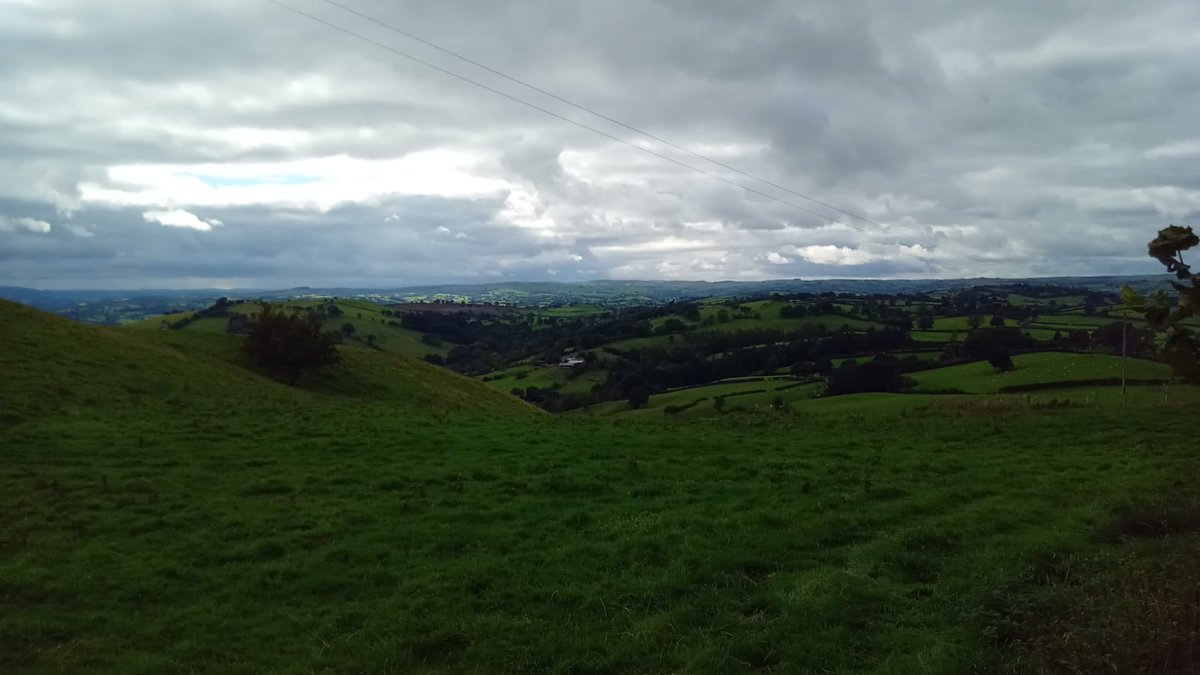 PBS Utility Services Ltd tweet media