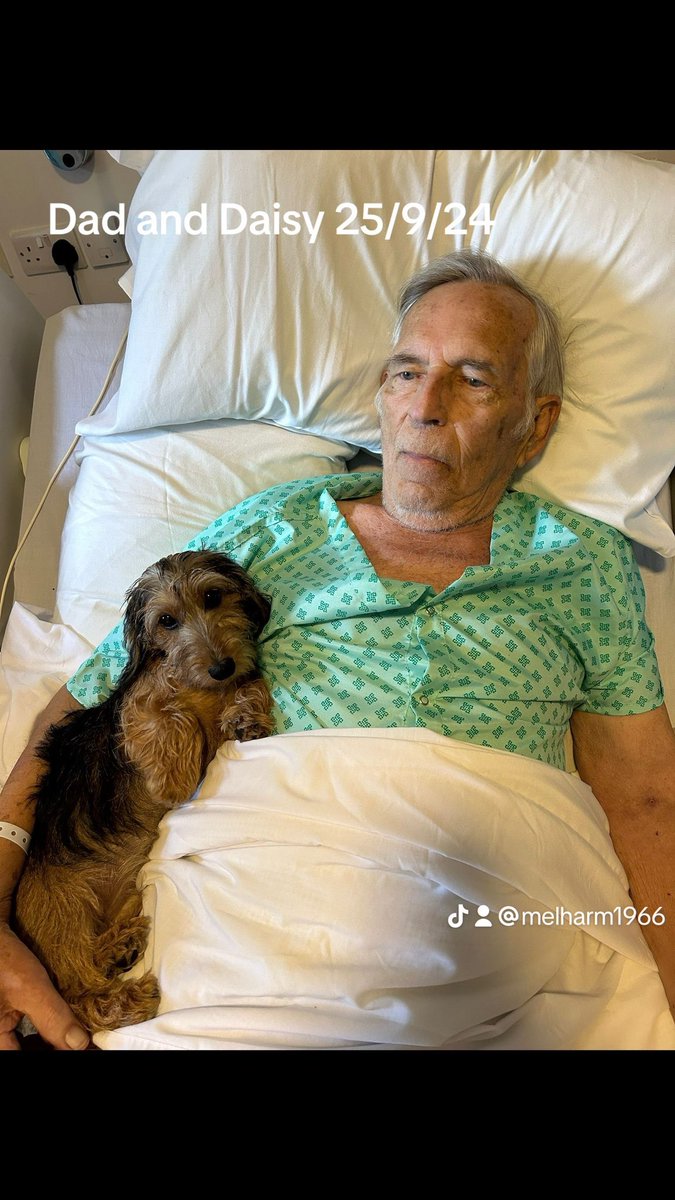 Amber, (RIP) Charlie (RIP) and Maisie (RIP) tweet media