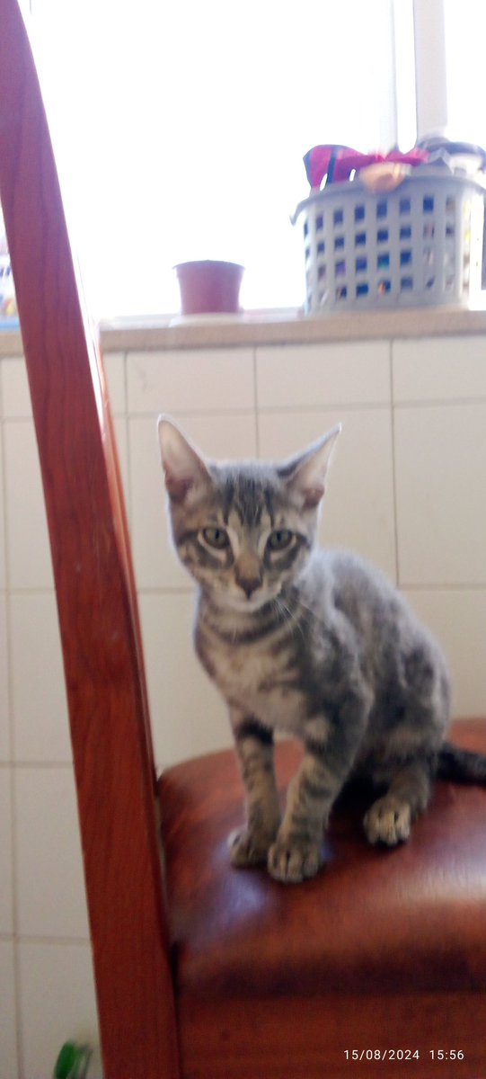 lumibcv1750's tweet image. 