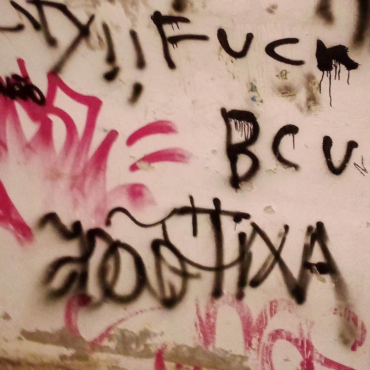 lumibcv1750's tweet image. #NewProfilePic