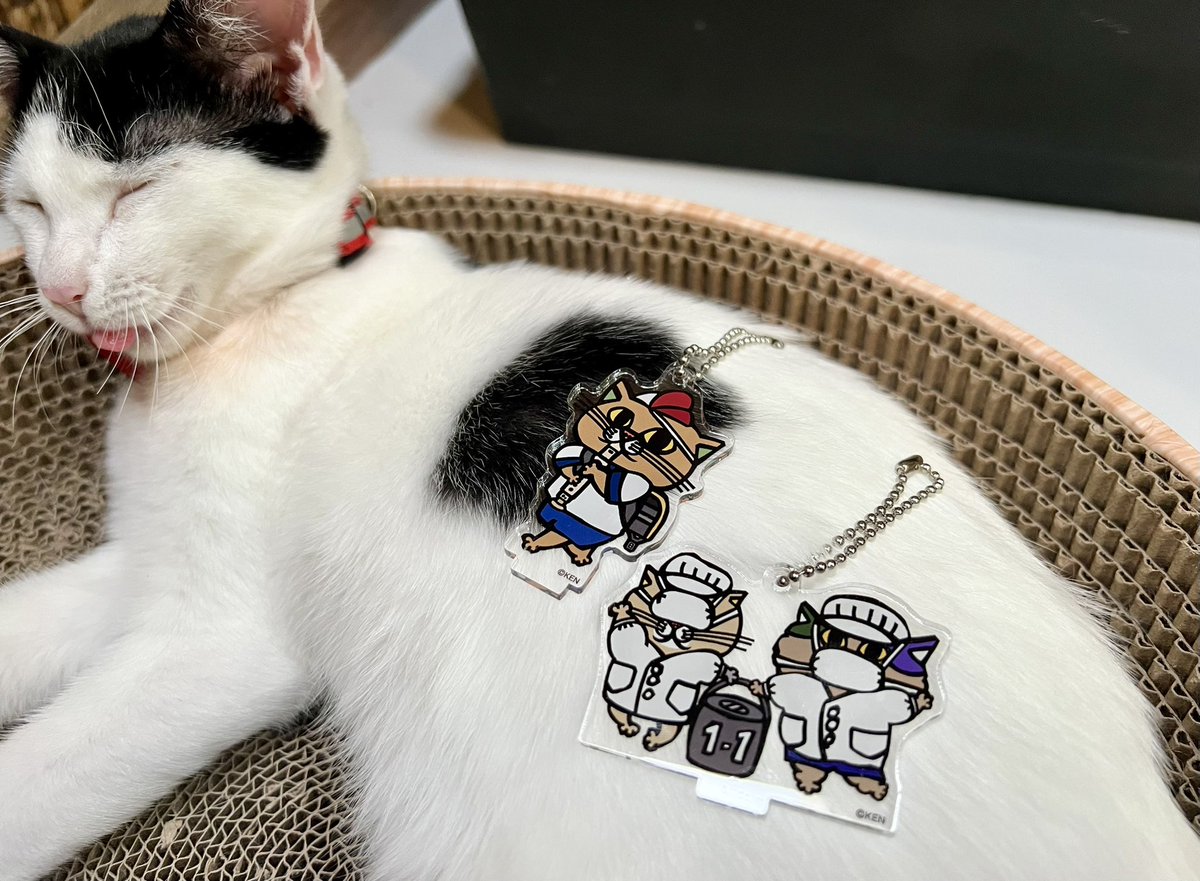 ハンズ新宿店・梅田店・博多店で、ポップアップストアを開催しており