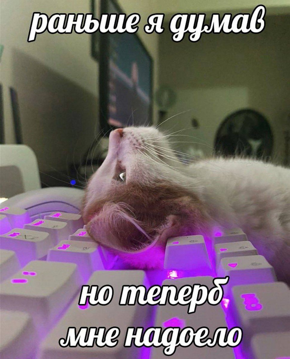 🐸жабья принцесса👑 (@kxiq7u7oc8nsgnc) on Twitter photo 