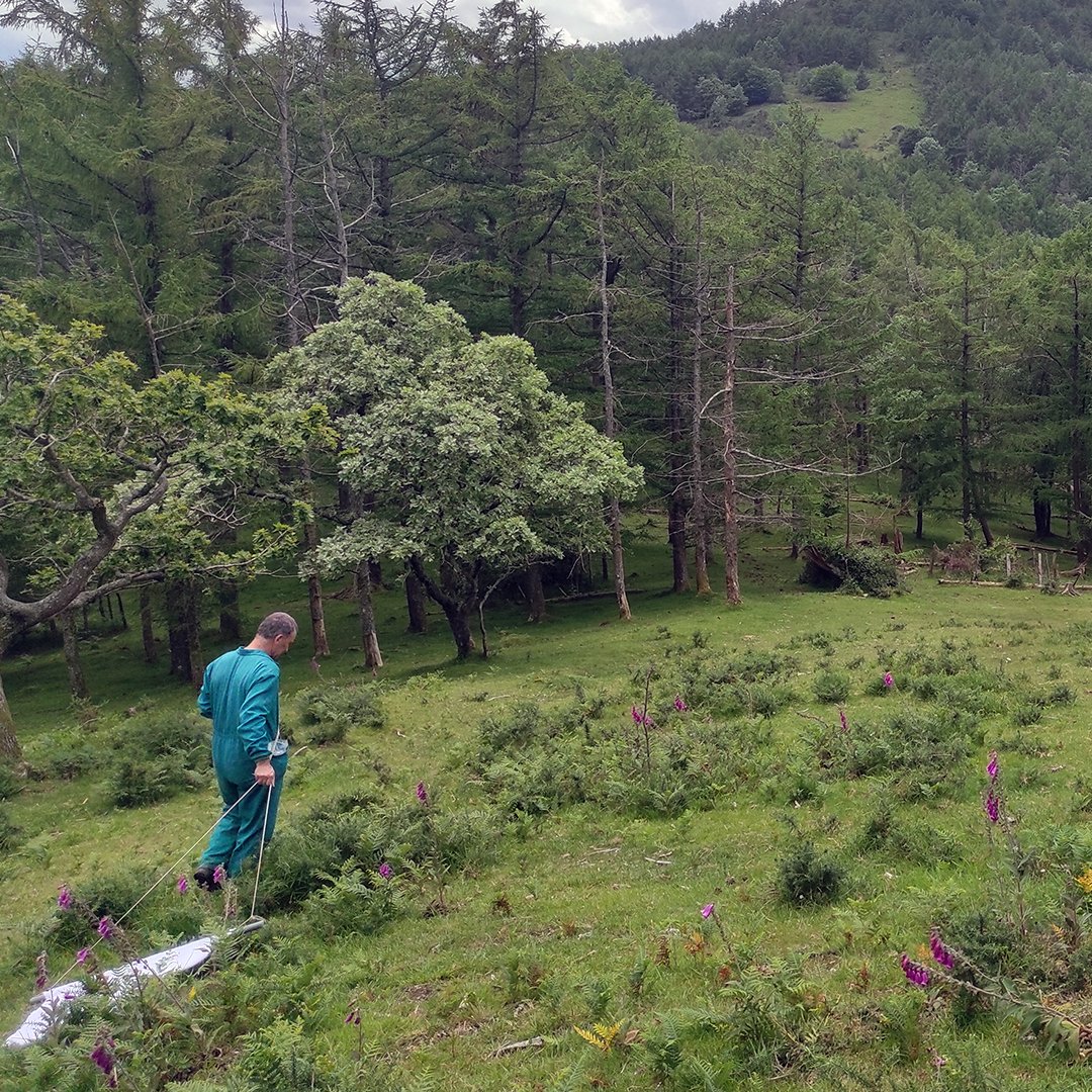 ❓Ba al zenekien #kaparrak giza eta animalien osasunerako arrisku nabarmena dakarten agente infekziosoen eramaile izan daitezkeela?

👉#pyrtick proiektuaren bidez #parasito horiek ezagutu eta zaindu nahi ditugu.

ℹ️bit.ly/3Y6adiE