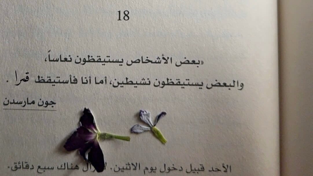 _iiamsedra's tweet photo. شوية تعديل يرضي النرجسيـة ما يضر : 🩷 https://t.co/I5ngb3sqgi