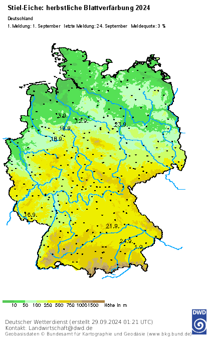 DWD_klima's tweet image. Mit der Blattverfärbung der Stiel-Eiche beginnt der #phänologische #Spätherbst. Die ersten Meldungen hierzu sind eingegangen. 
Meldestatistik unserer phänologischen Beobachterinnen und Beobachter: dwd.de/DE/leistungen/…
