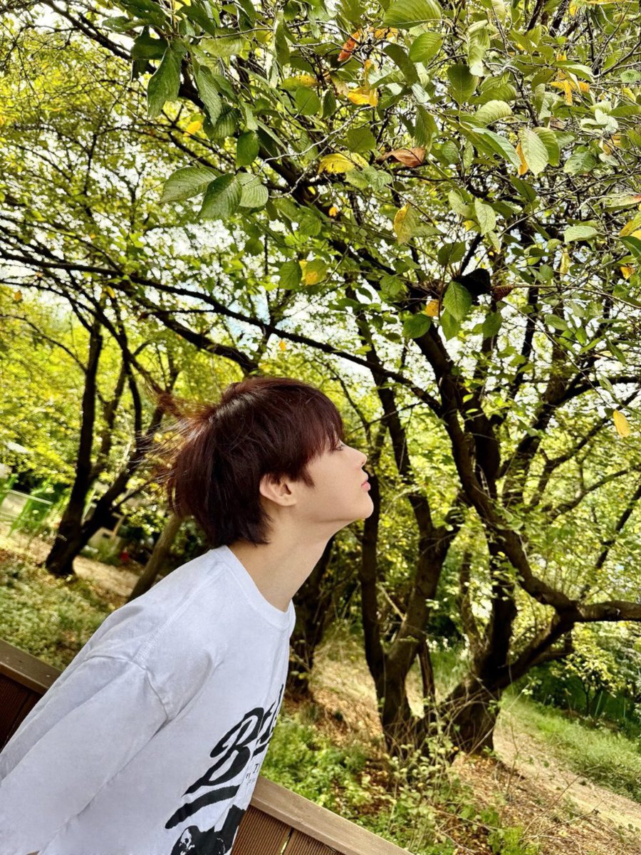 TEMPEST(템페스트) tweet media