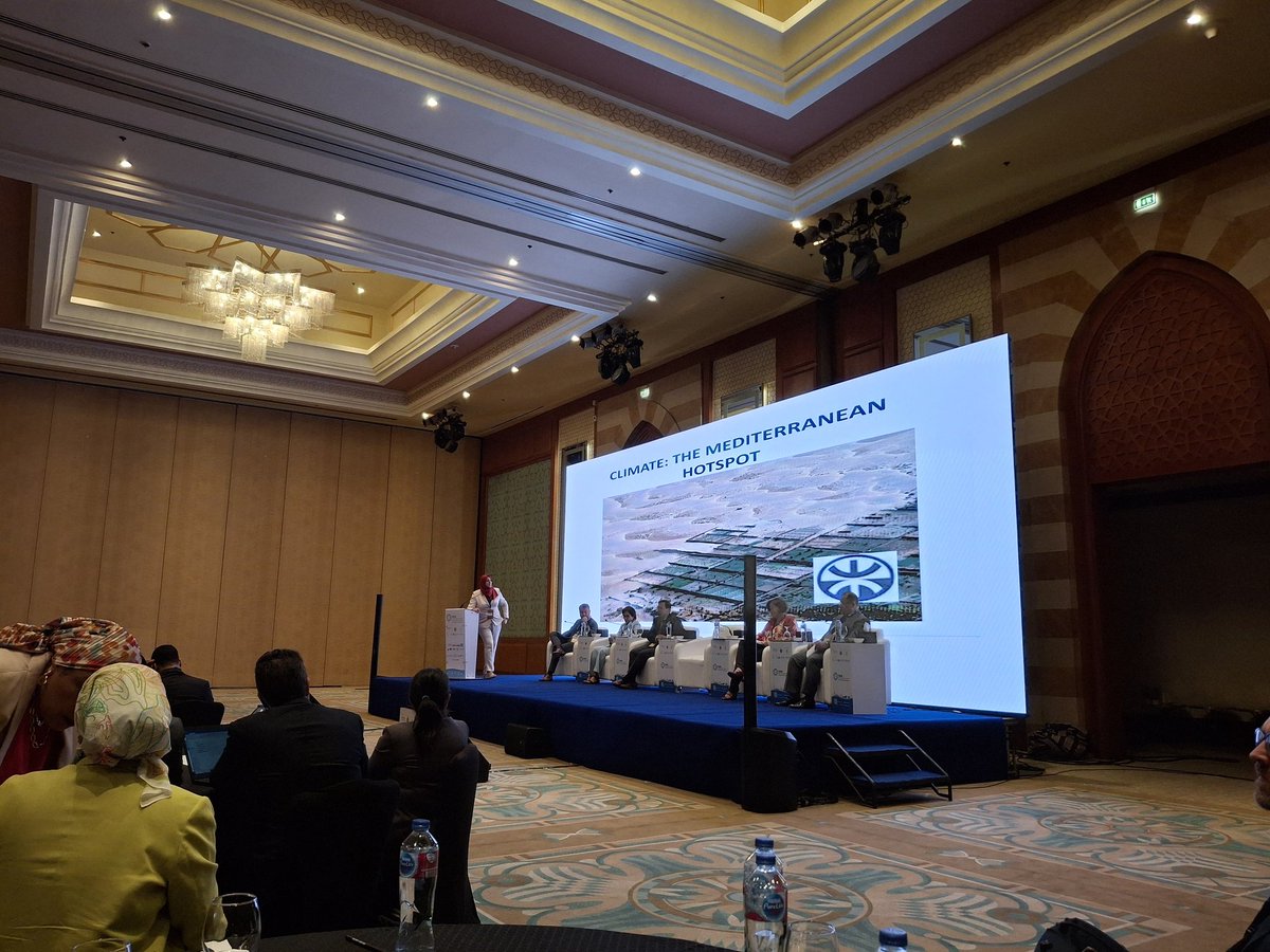 At Cairo Sustainable Energy Week <a href="/GaiaThinks/">Grammenos Mastrojeni</a> inspiring words about the #TERAmed initiative: "while building renewable energy in the Mediterranean we are building peace"
