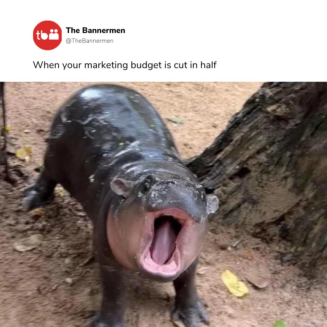 Sometimes corporate slashes your advertising budget in half - life happens! 🤷 We cost per deliverable, meaning you only pay for what you need and NO HIDDEN FEES. 🤩 So, whether your budget's been cut or you’re simply looking to maximize your spend, we’ve got you covered. 💡✨