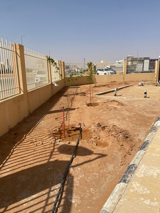الصورة