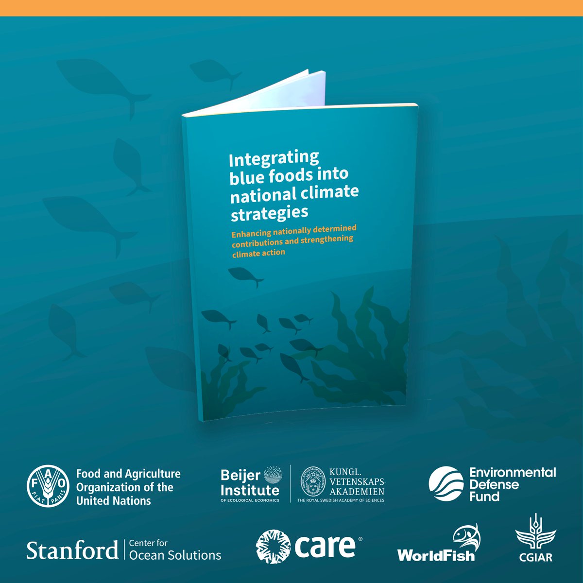 Often overlooked in climate discussions, #AquaticFoods are crucial for #ClimateAction.

This new report guides countries on how to integrate them into nationally determined contributions to reduce emissions &amp; achieve #ParisAgreement goals.

Read more 👉 bit.ly/3NavYaV