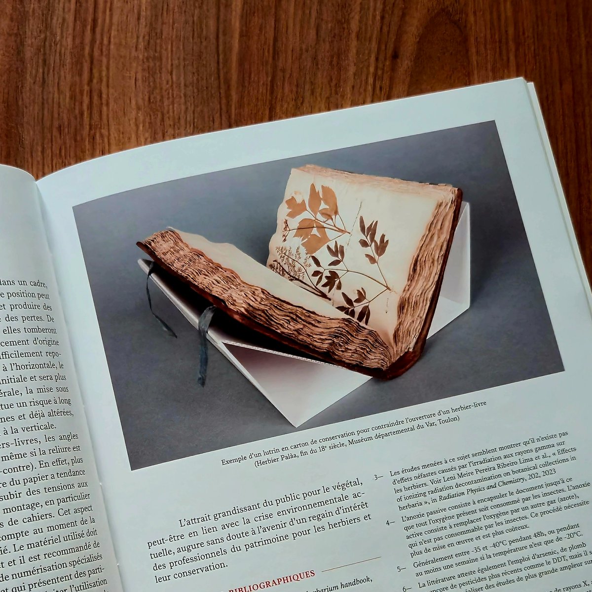 BnuEditions's tweet photo. [Un jour à la page]

En cette journée mondiale du végétarisme, découvrez la force des plantes dans le dernier numéro de la Revue de la Bnu, disponible en intégralité sur OpenEdition : https://t.co/BNR1Jxsvnu https://t.co/7ObA5Sd2a4