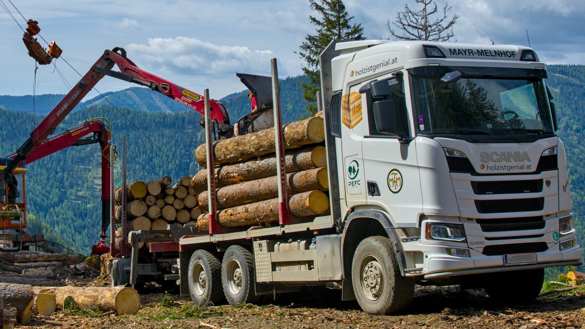 International Journal of Forest Engineering tweet media