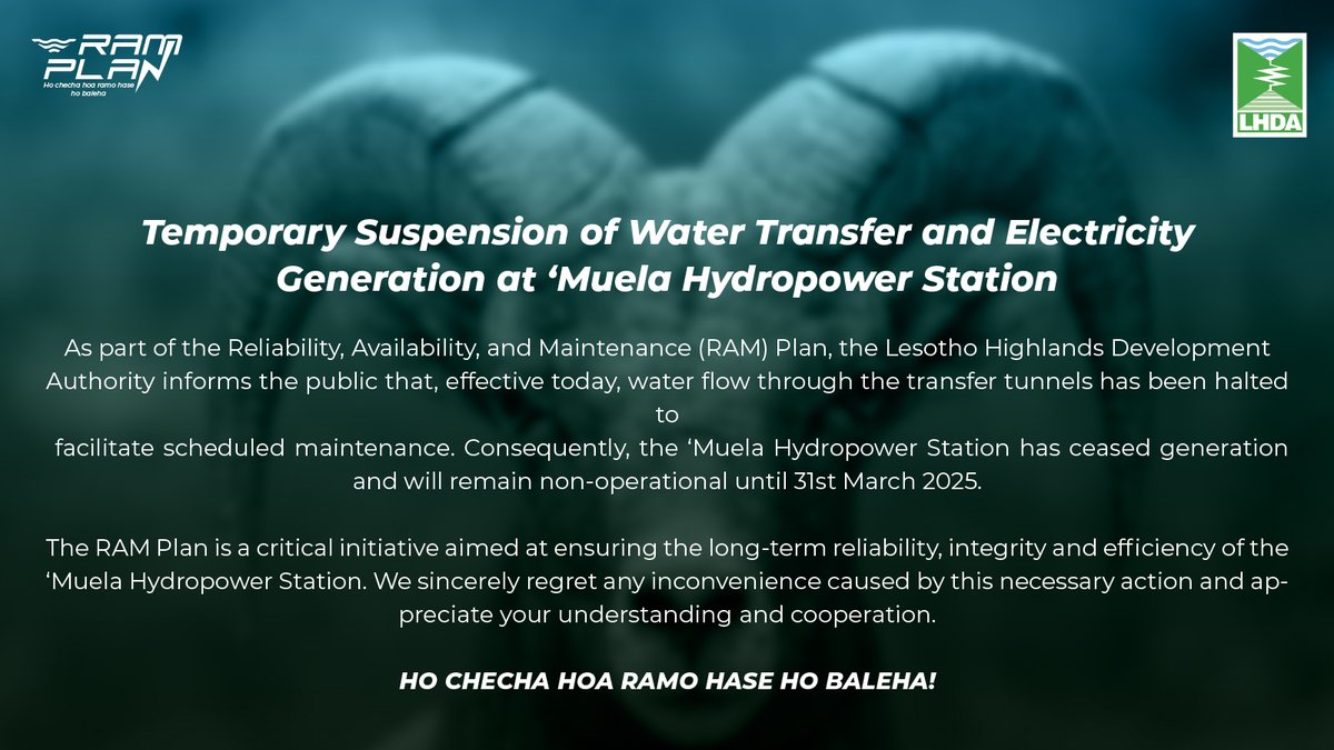 Tente Tente, PrEng tweet media