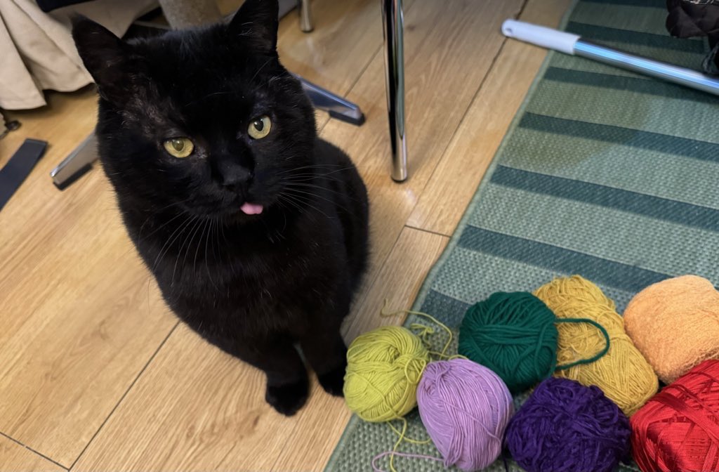 붕붕이 보러오세요
<a href="/boongboongcat/">붕붕</a>