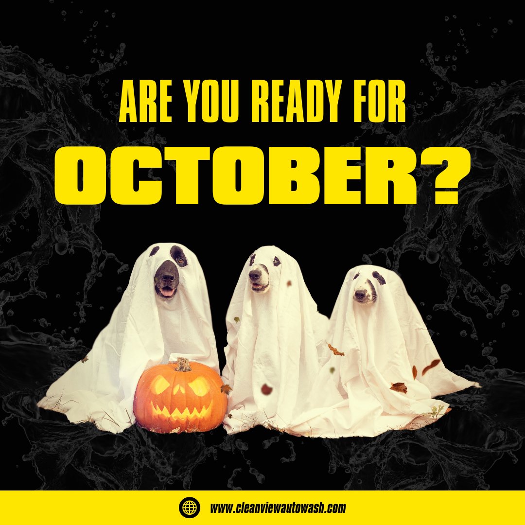 cleanviewauto's tweet image. October is here, and so are the spooks at Clean View Auto Wash! Get ready for a month full of fun, frights, and a spotless ride through our Haunted Carwash.

Are you ready? #HauntedCarwash #CleanViewAutoWash